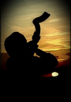 Arrendersi all'Evidenza. Tutte le Menzogne sul Siero. Apriremo gli occhi? Shofar Vox 2 250x356