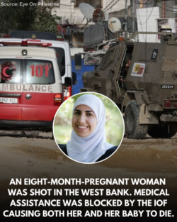Ostaggi Israeliani Smagriti, Palestinesi Torturati. La Narrazione Imperiale Parla solo dei Primi. Caitlin Johnstone. Tulkarem Ottavo Mese Uccisa 250x313