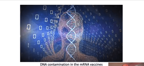 mrna spike vaccini