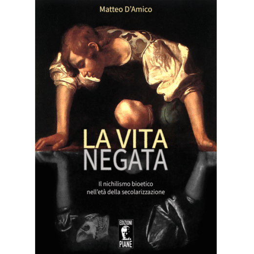 d'amico, vita notaro